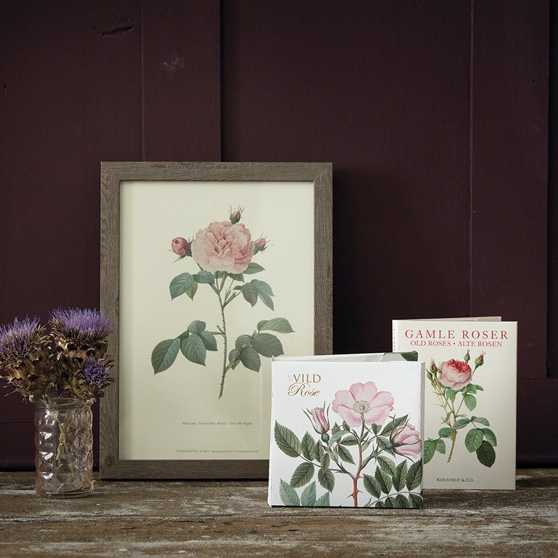 WILD ROSE - Square card set