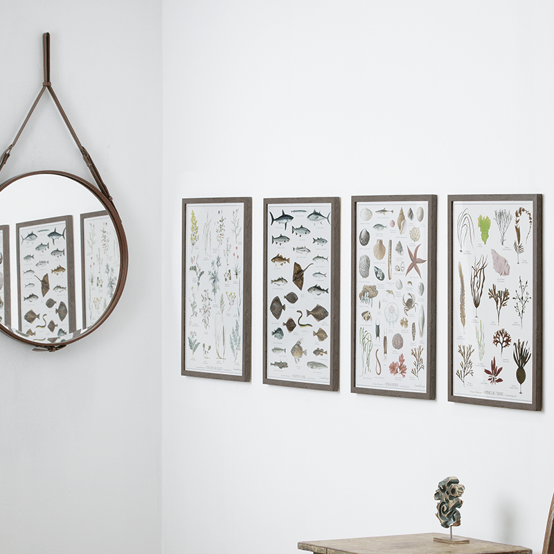 BEACH PLANTS - Poster A2