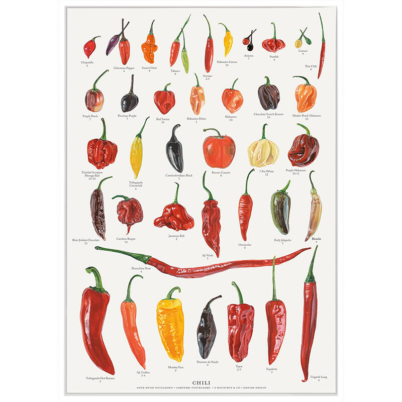 A4 Print - Chili