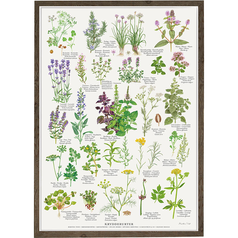 A4 PRINT - Spiced Herbs
