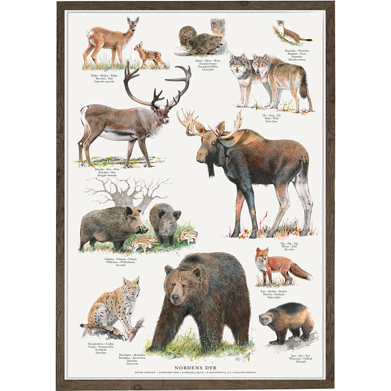 A4 print - Nordic animals (Nordens dyr)