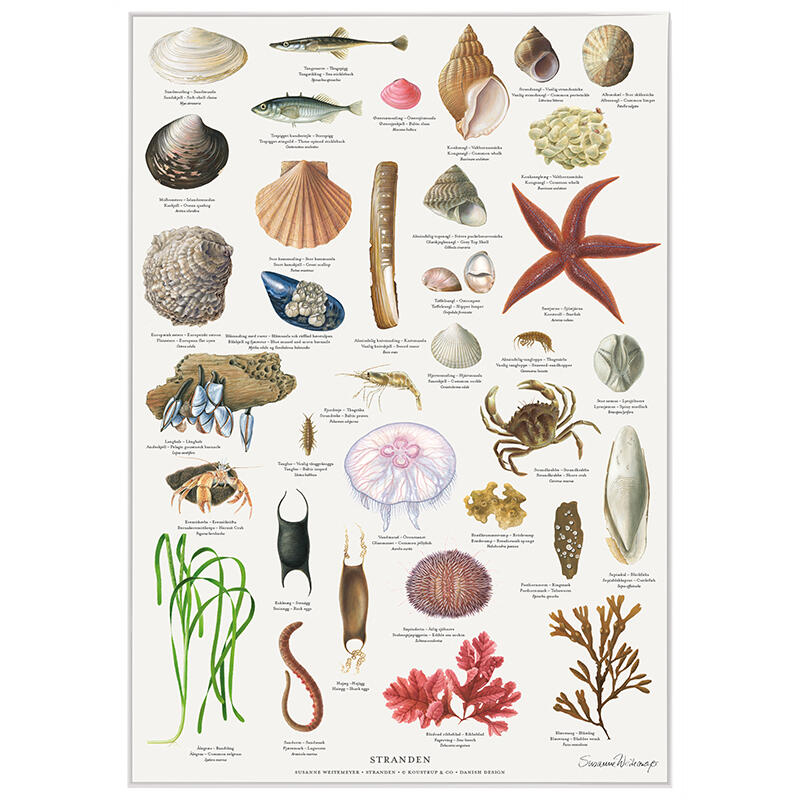 A4 Print - The Beach