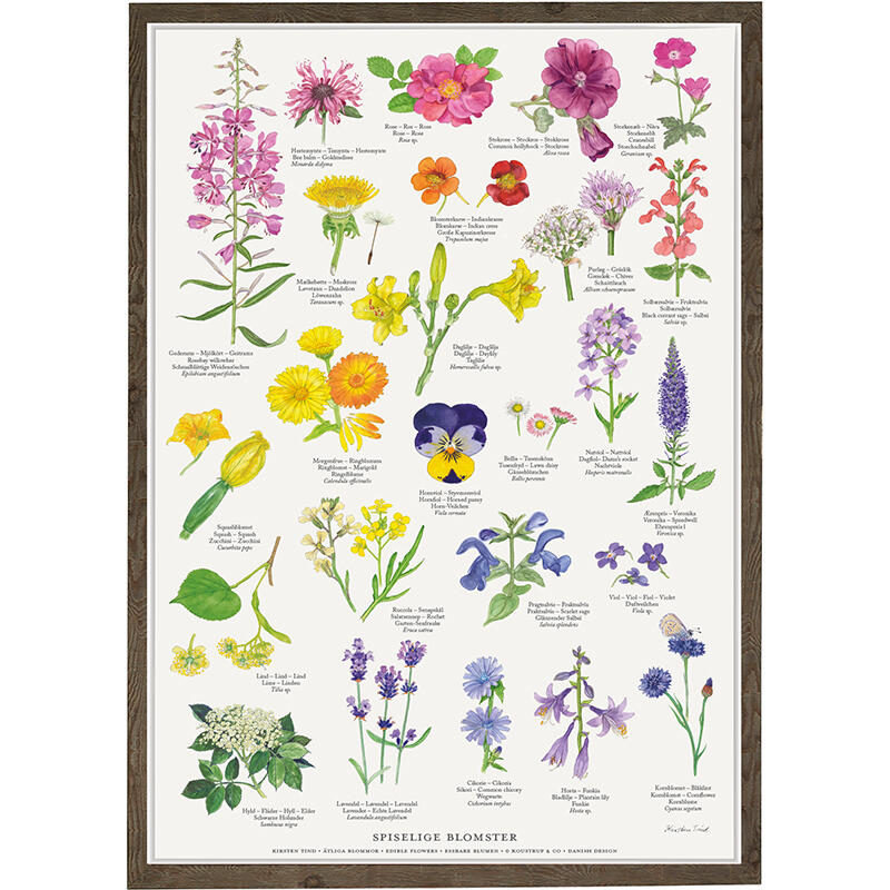 A4 PRINT – Edible Flowers