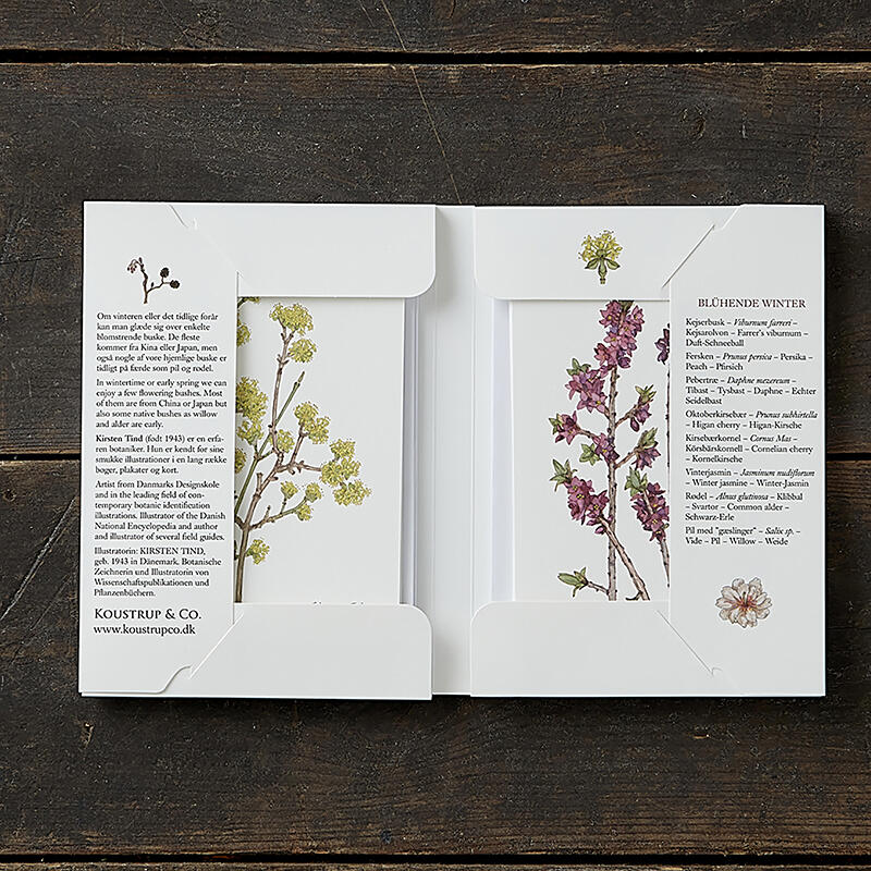 BLÜHENDER WINTER - 8 cards (German)