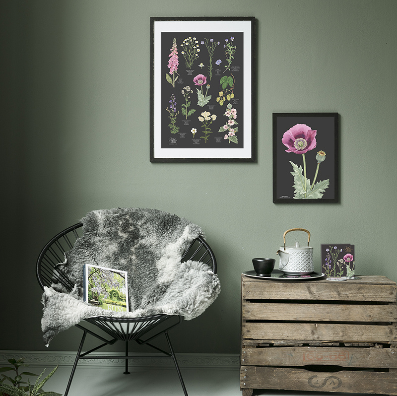 TRAY Ø38 - Pink Poppy