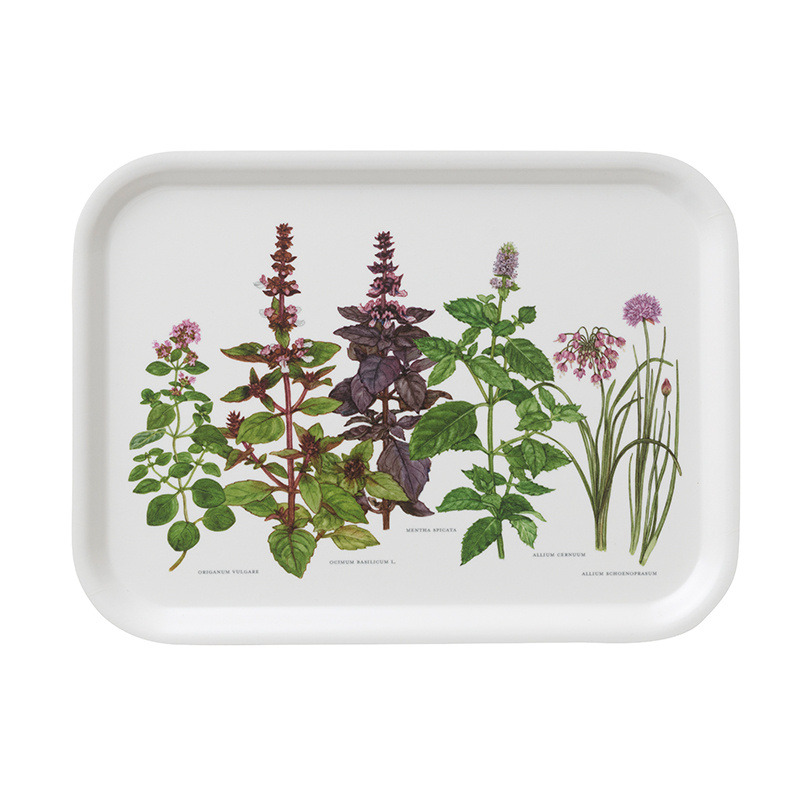 Tray 20x27 - Herbs