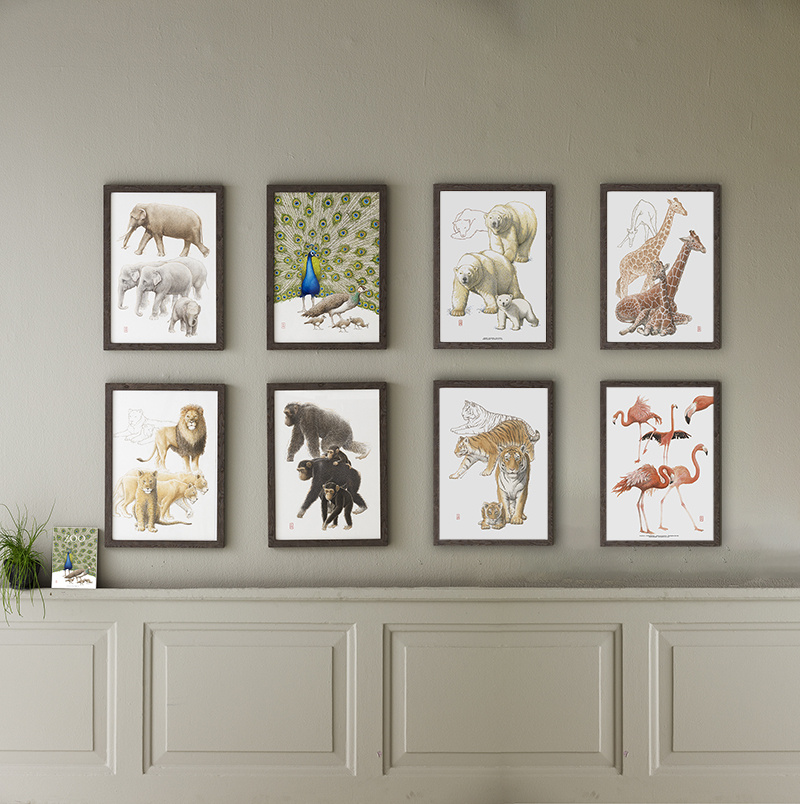 ART PRINT A3 - ZOO Chimpanzee