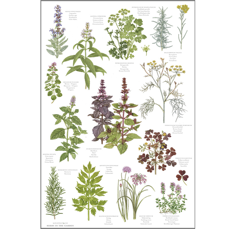 Tea towels with herbs from Koustrup & Co.