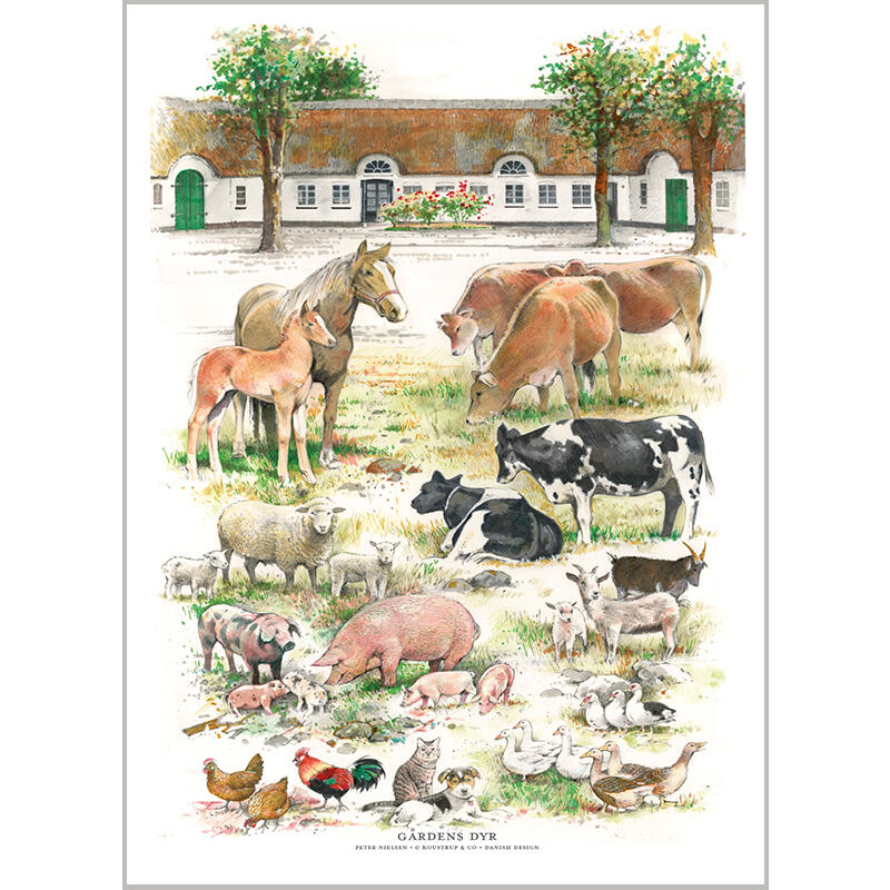 FARM ANIMALS - Poster A2