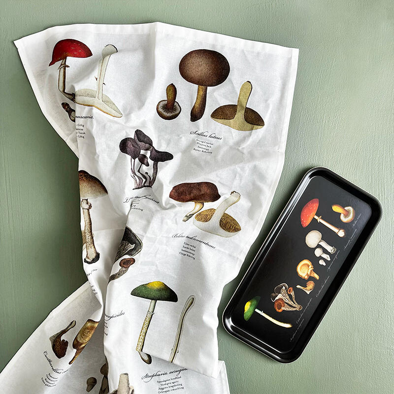 Tray 32x15 - Mushrooms