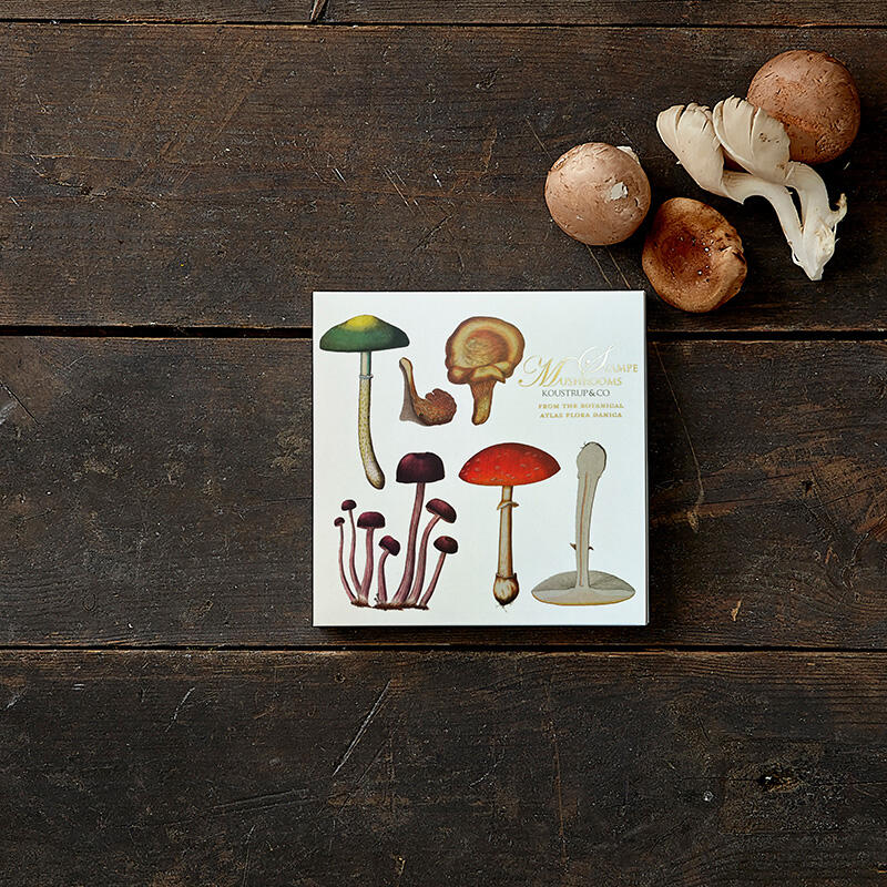 Mushrooms - Square card set