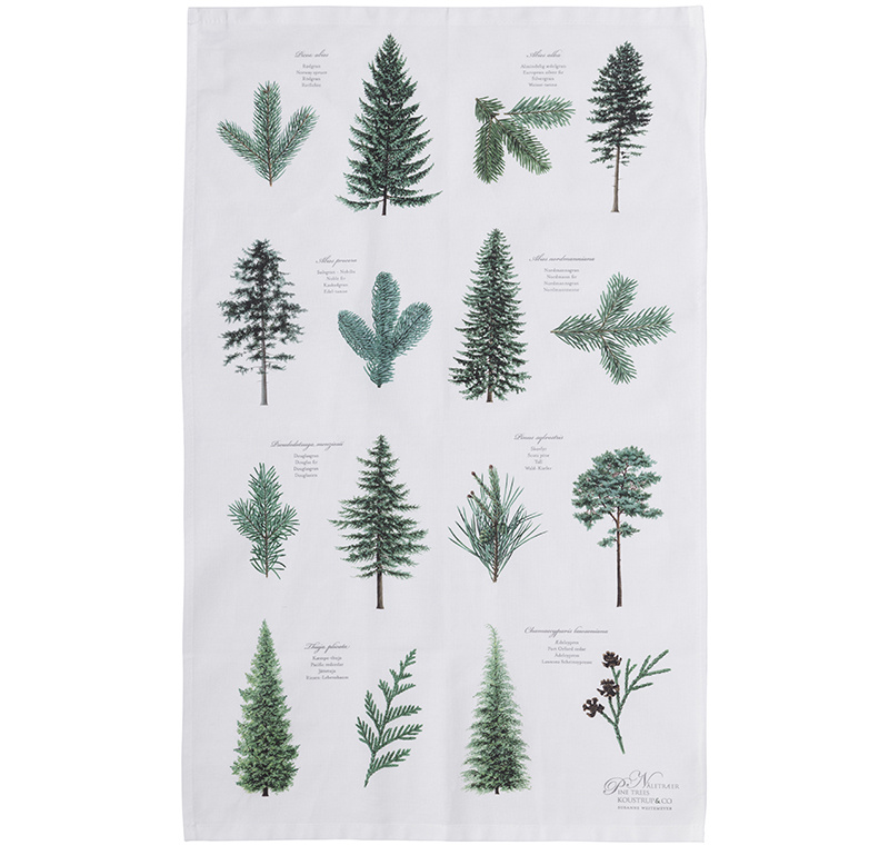 ORGANIC DISH TOWEL with Conifers