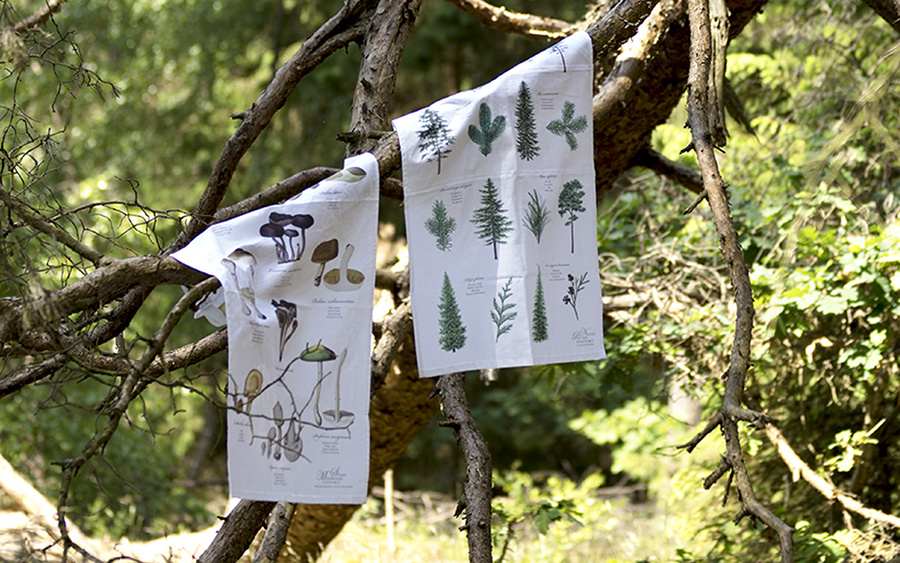 ORGANIC DISH TOWEL with Conifers