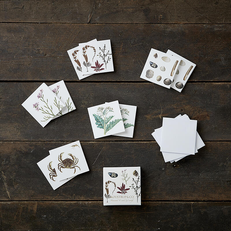 Square Mini Cards - Coastal Larder - 8.5 x 8.5 cm