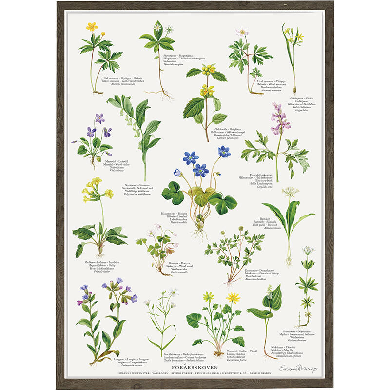 SPRING FOREST - Poster A2