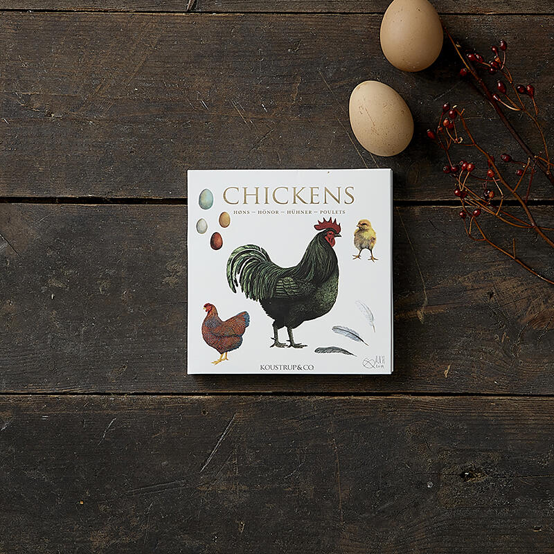CHICKENS / HENS - Square card folder