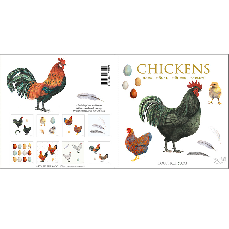 CHICKENS / HENS - Square card folder