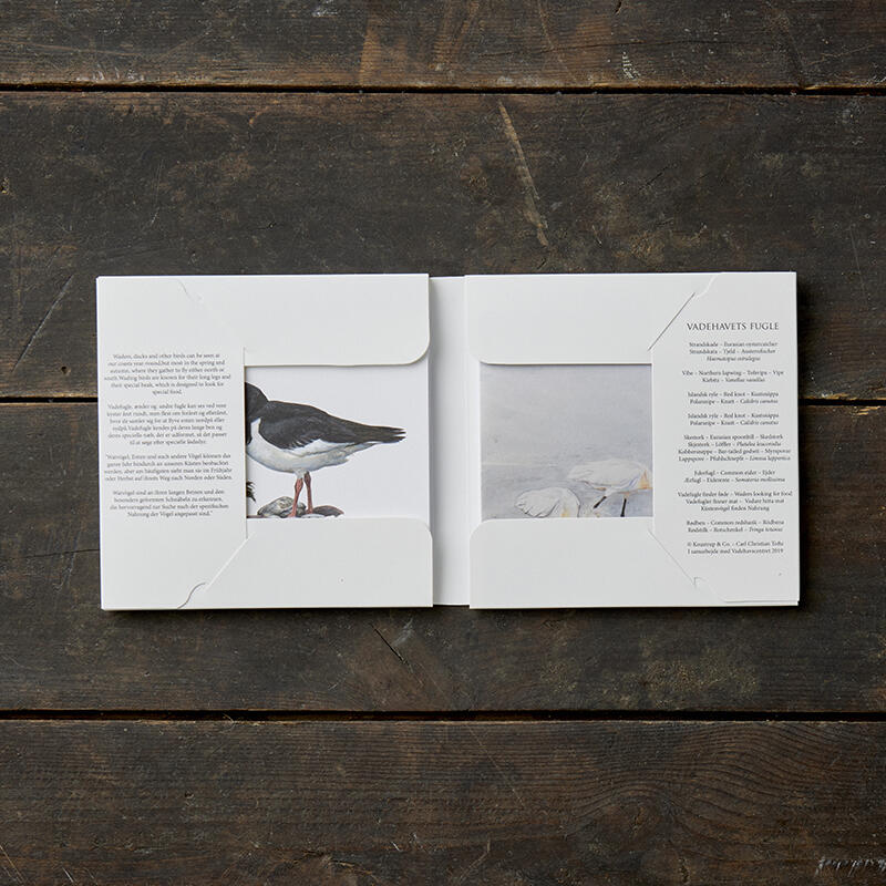 Birds of the Wadden Sea - Square card set