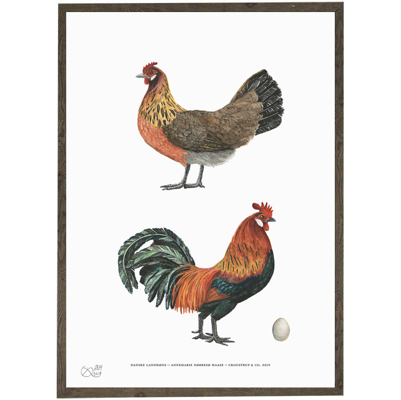 Danish Farm Hens - HENS - ART PRINT - CHOOSE SIZE