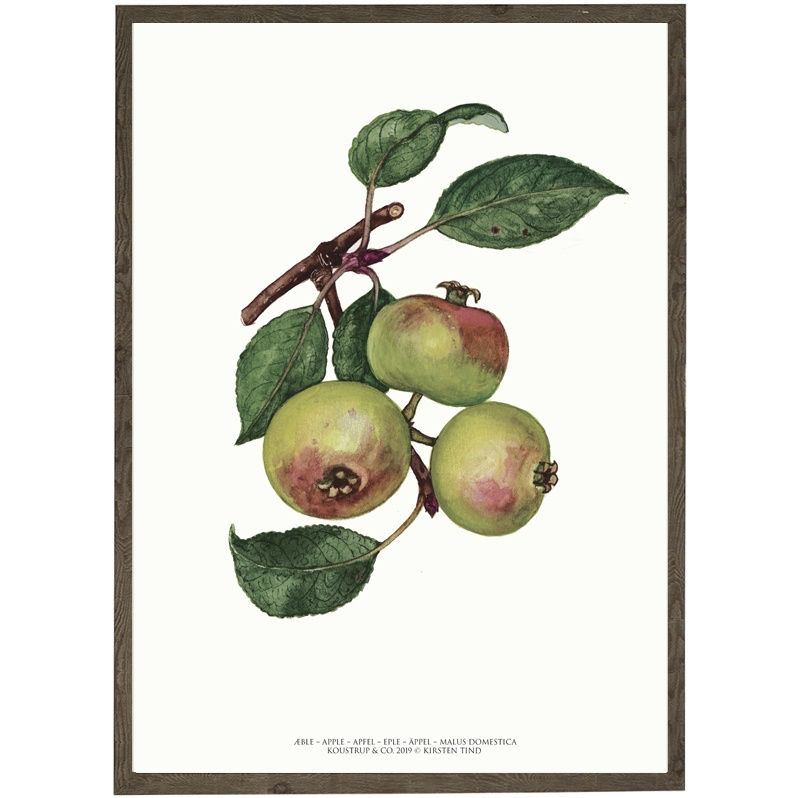 Apple - ART PRINT - CHOOSE SIZE