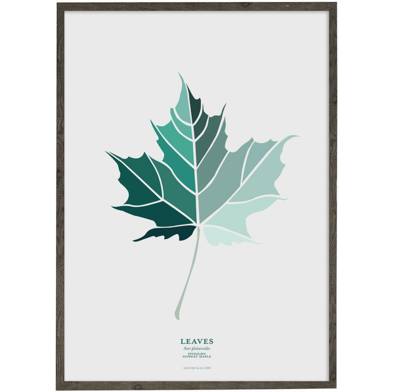 Spidsløn Leaf (petrol) - ART PRINT - CHOOSE SIZE