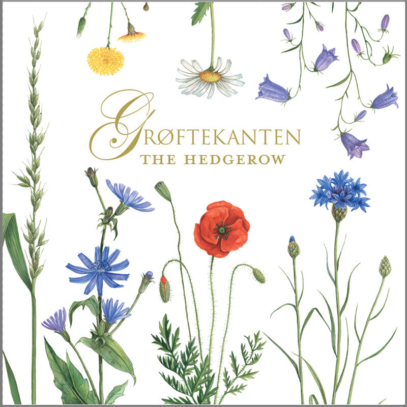 GRØFTEKANTEN - Square card set