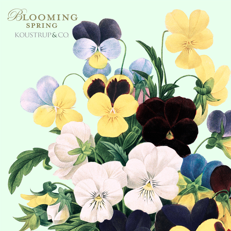 BLOOMING SPRING - Square card set