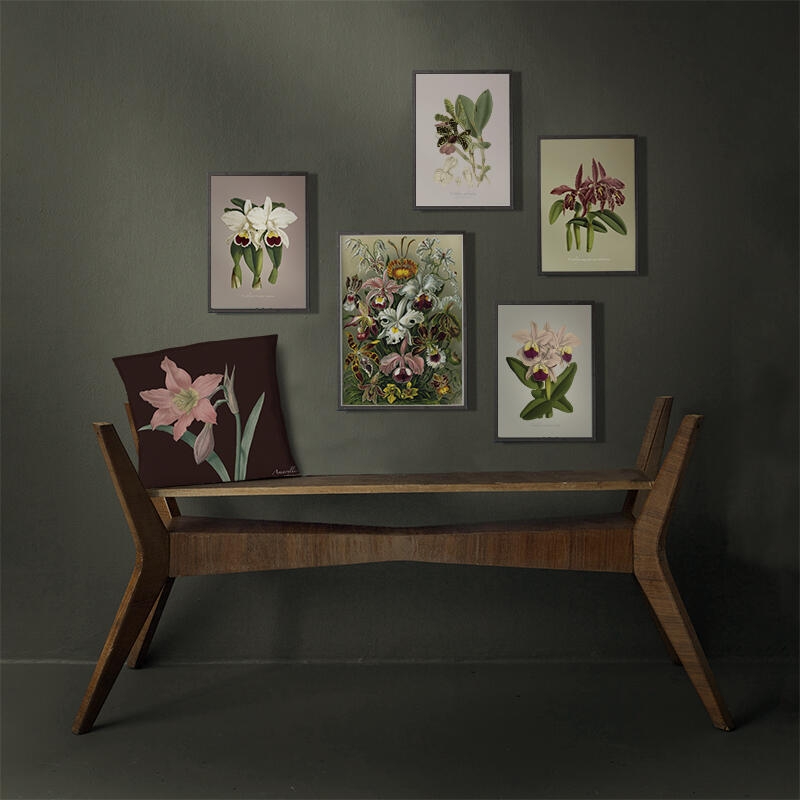 Orchids - ART PRINT - CHOOSE SIZE