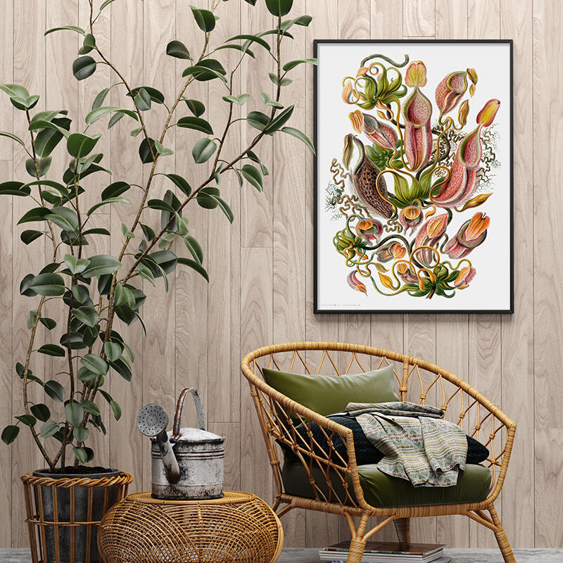 Carnivorous plant - ART PRINT - CHOOSE SIZE