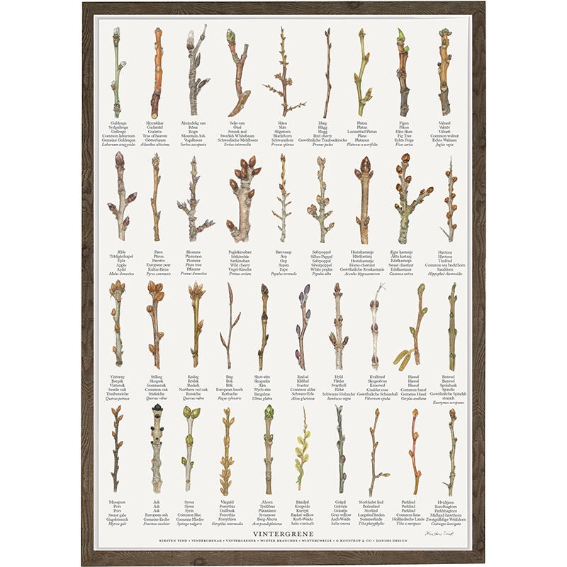 PRINT A4 - Winter Branches