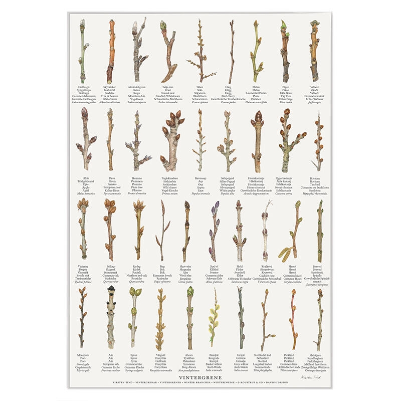 PRINT A4 - Winter Branches