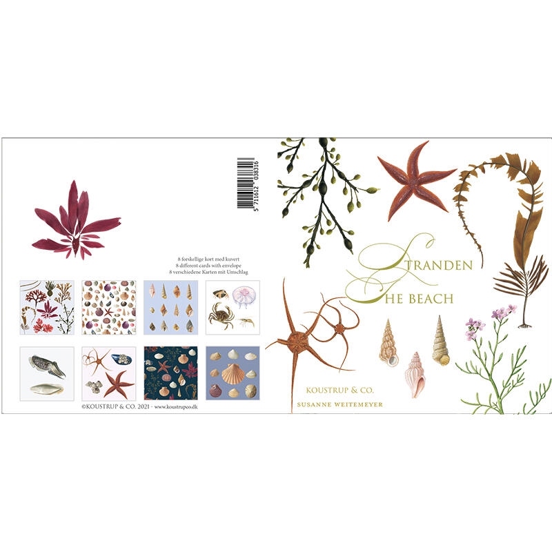 STRAND - Square card set