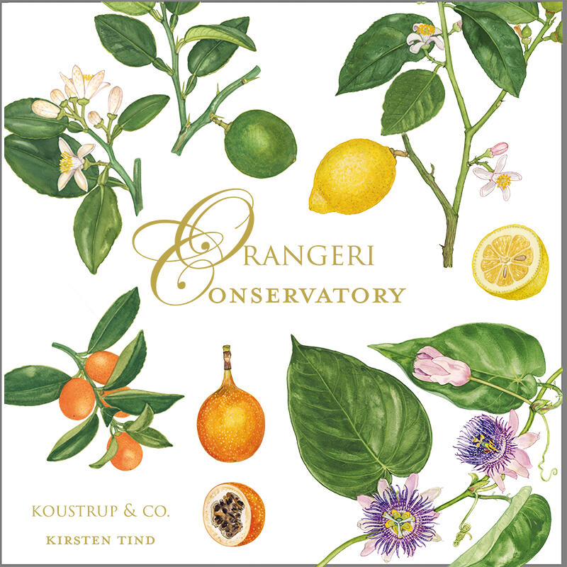 Orangery - Square card set