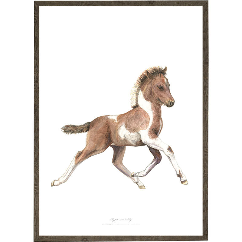 Foal - ART PRINT - CHOOSE SIZE