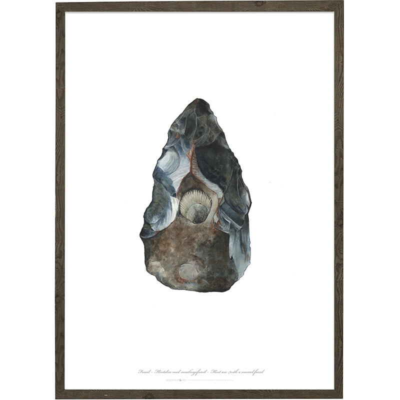 Flint Axe with Fossil - ART PRINT - CHOOSE SIZE