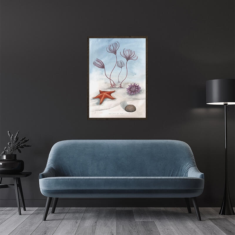 Sea Lily - ART PRINT - CHOOSE SIZE