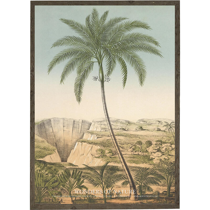 Isle of Bory da Saint Vincent - Art Print - Choose Size