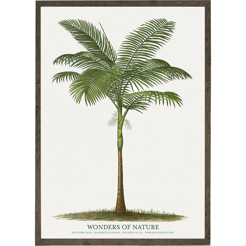Solitaire palm - ART PRINT - CHOOSE SIZE