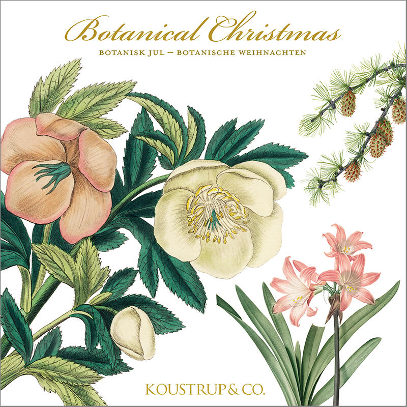 BOTANICAL CHRISTMAS - Square card folder