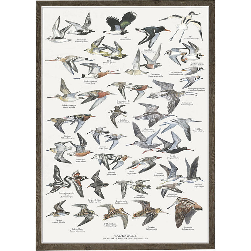 A4 Print - Waders
