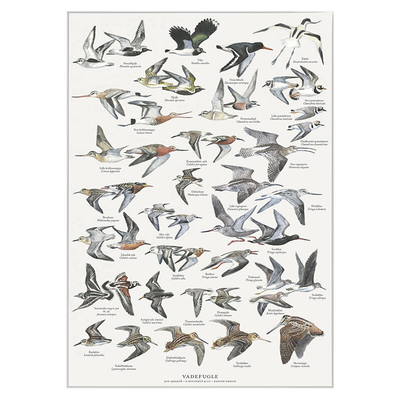 A4 Print - Waders