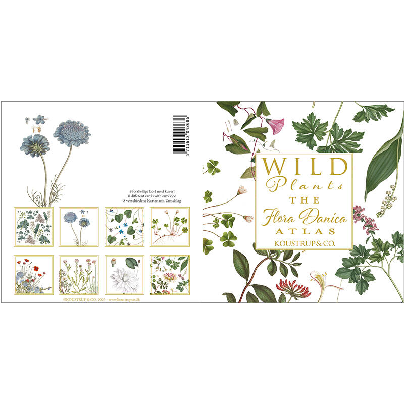 THE FLORA DANICA ATLAS – WILD PLANTS - Square card folder