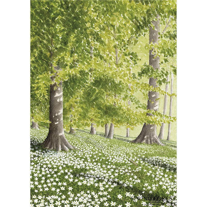 Spring forest - A5 single card