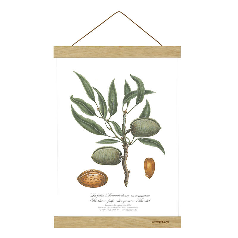 MAGNETIC RAIL A4 - Oak