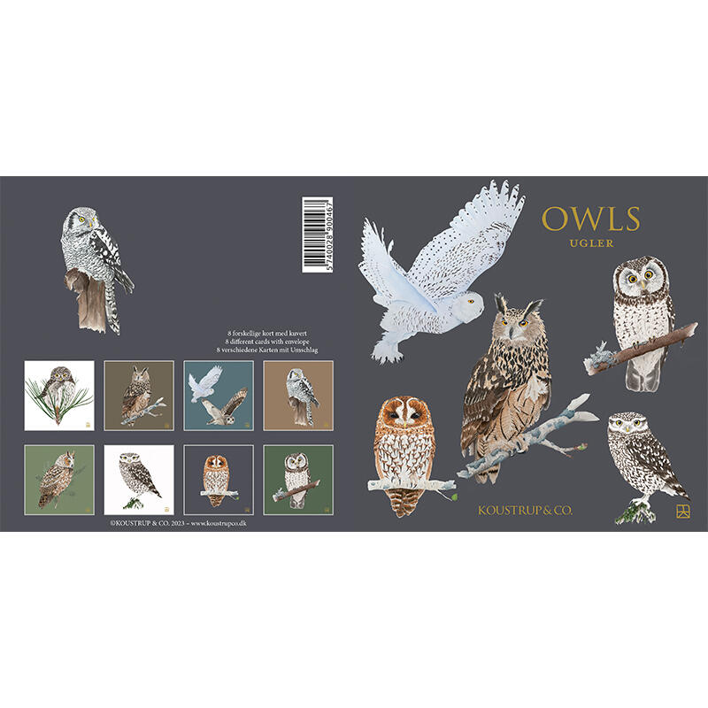 Card set cover - owls