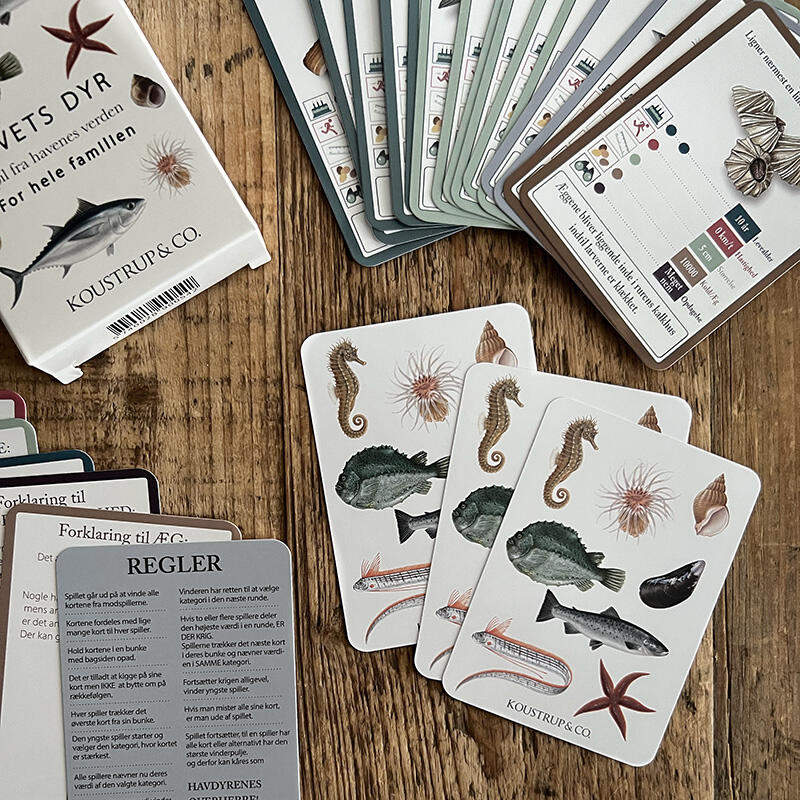 CARD GAME – Sea Animals