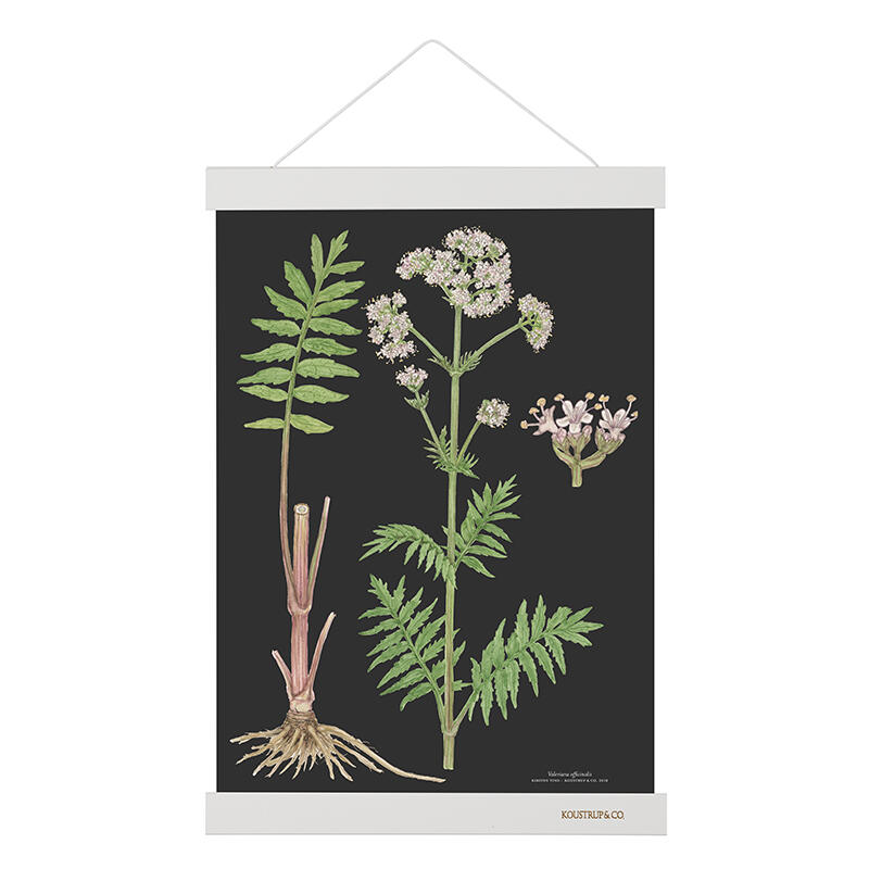 MAGNETSKINNE A3 - White