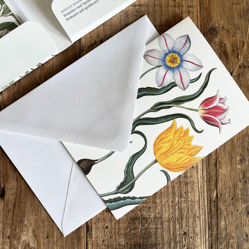 RENAISSANCEGARTEN - 8 cards (German)