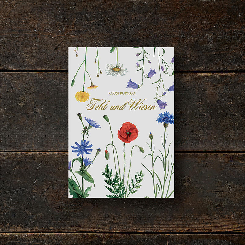 FELD & WIESE front cover