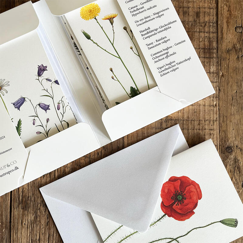 FELD & WIESE - 8 cards (German)